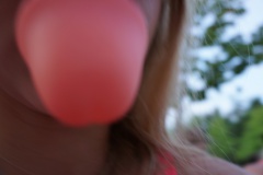 DSC00320