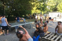 Bild1